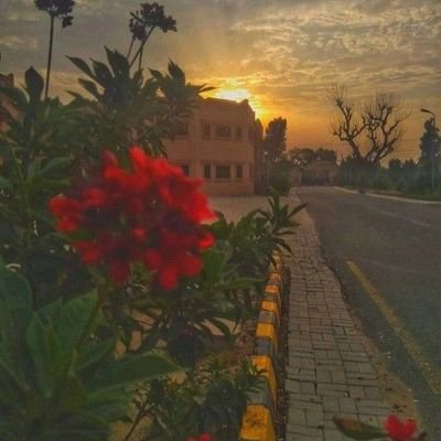 vrinda4187's profile picture. 
