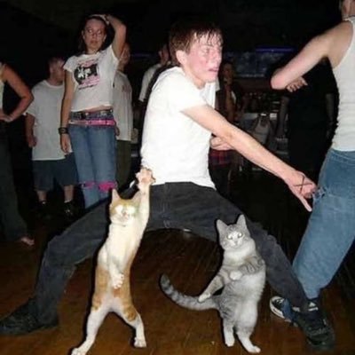 nisaeyy's profile picture. 𝖫𝖾𝗍 𝗆𝖾 𝖾𝗇𝗃𝗈𝗒 𝗆𝗒 𝗅𝗂𝗍𝗍𝗅𝖾 𝗅𝗂𝖿𝖾 , 𝗈𝗄𝖺𝗒 ? 🐈🏄🏻‍♀️🎟📀📟🧽🧃🖍