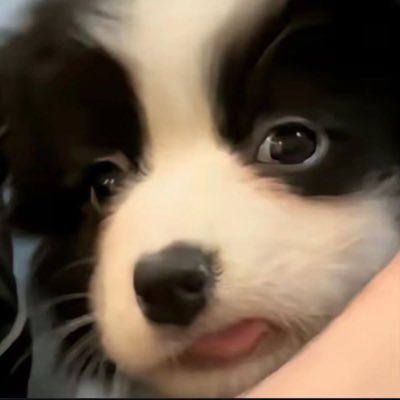 jzixeq's profile picture. wlw