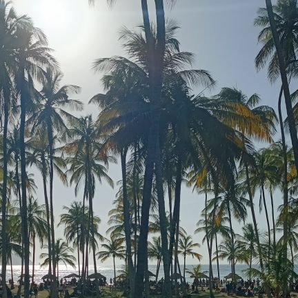 jhonalisyjonder's profile picture. pareja madura ambos 45  mi esposa bis yo hetero 💯%. por los momentos ver y ser visto y después ver si podemos cumplir nuestra fantasía. no somos modelos.