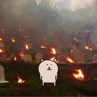 도비 (@0402moment) 's Twitter Profile Photo