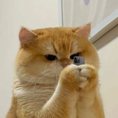 orangemeow__'s profile picture. (🐱.) เป็นแมวส้มที่รักพี่เจฟที่สุด🪐✨ #jeffsatur