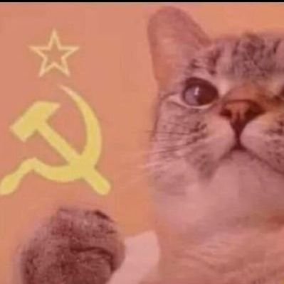 Doğa ve Hayvan Hayranı Ate
https://t.co/LArsSTwQsV