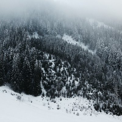 Sienna760841018's profile picture. 