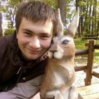 rocco66max's profile picture. 