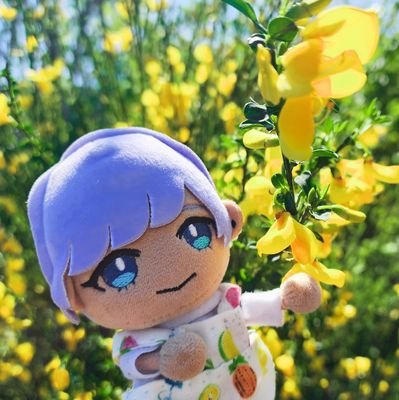 ももぴさんのプロフィール画像