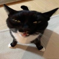 . (@sabbi3ee) 's Twitter Profile
