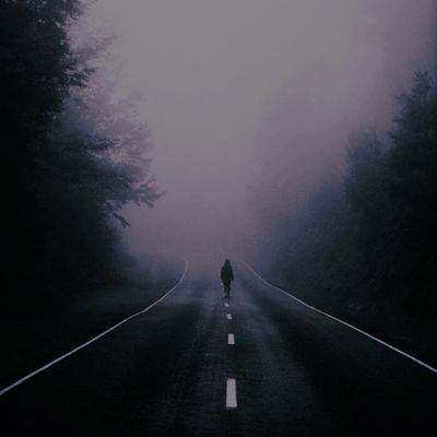 Phoenixbornxx's profile picture. 𝑶𝒔𝒕𝒓𝒊𝒄𝒉 𝑨𝒍𝒈𝒐𝒓𝒊𝒕𝒉𝒎  💫