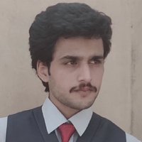 Fida Hussain (@fidahussai36256) 's Twitter Profile