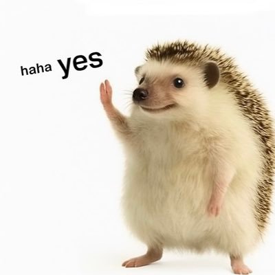 TeslaKirpisi's profile picture. 