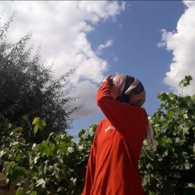 Meinkiyakru's profile picture. //She's kinda weird, kinda crazy but genuinely pure 🌻🖤\\DM🚫||