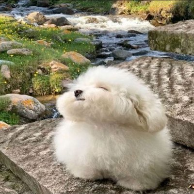 jopyle4ka's profile picture. Arch user, Frontend Dev and just debIl