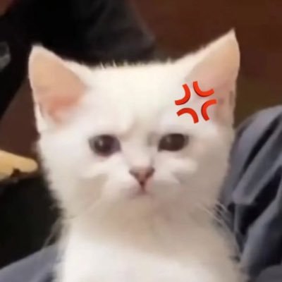 MaminLee's profile picture. #GIRLSGENERATION #NCT 🩷💚 🦌🥚🥕🍉🍷🦴🍑 / 🩵🐣🐻🐵🐻‍❄️🐶