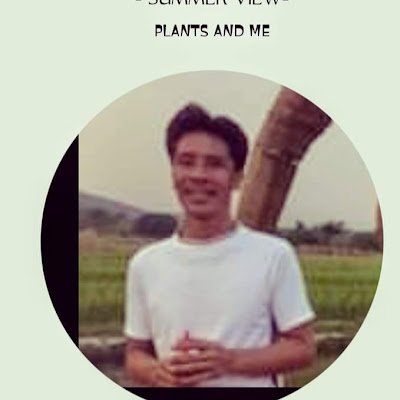 A2517n's profile picture.