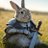 RabbitsJustice's profile image