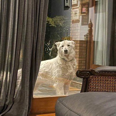 mptc's profile picture. pura potencialidad!