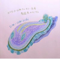 sim @パリアン (@ccrescentmoons) 's Twitter Profile Photo