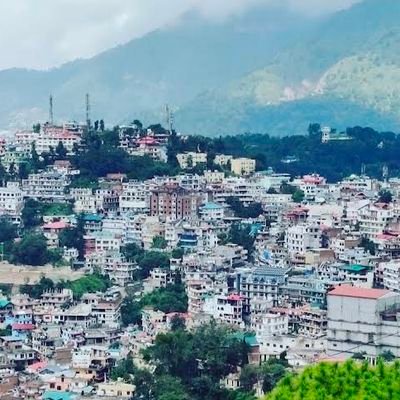 NIHALSINGH41165's profile picture. 