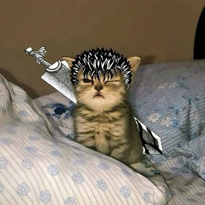 angela_cm44's profile picture. Quan t'has trencat tants cops aprens a refer-te