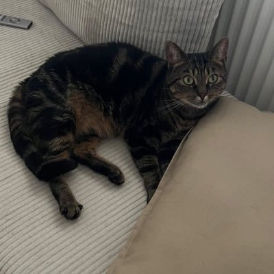 AAgbonayinma's profile picture. 私は自然とその環境が大好きです