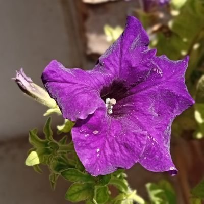 jimi_rahma74407's profile picture. 