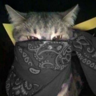 KhraKhryat52268's profile picture. 
