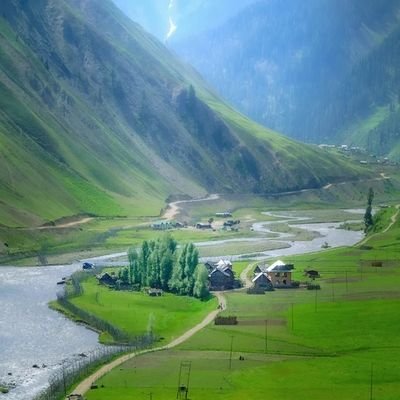 KashurSoul1's profile picture. Rooted In The Land Of Chinars, Standing Tall Against The Storm🍁