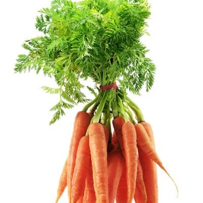 KindaCarrot's profile picture. I draw sometimes