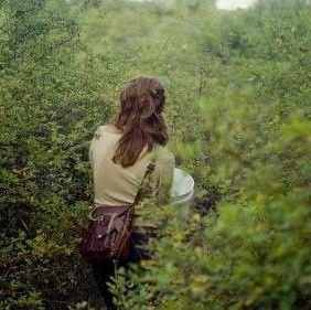 agreenbutterfly's profile picture. 