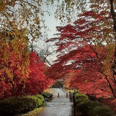 ppp837679's profile picture. ハヤテノフクノスケ全力応援
いつか競馬場でG1レースみてみたい