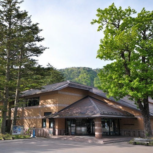 日光自然博物館 On Twitter 竜頭滝も見頃になりました 平日も混雑が予想されますので駐車は さかなと森の観察園 向かいの菖蒲ヶ浜pや竜頭滝臨時駐車場をご利用ください 紅葉 日光 竜頭滝 渋滞
