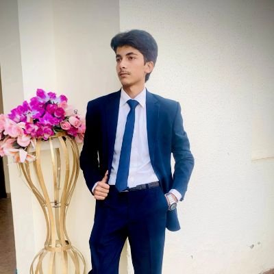 Umer_Bari_'s profile picture. Eccedentesiast and Entrepreneurship mindset.