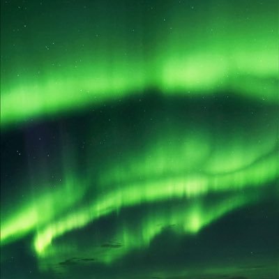 mtx16361852's profile picture. 