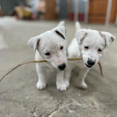 MouhamedHa87569's profile picture. Always be yourself 👇