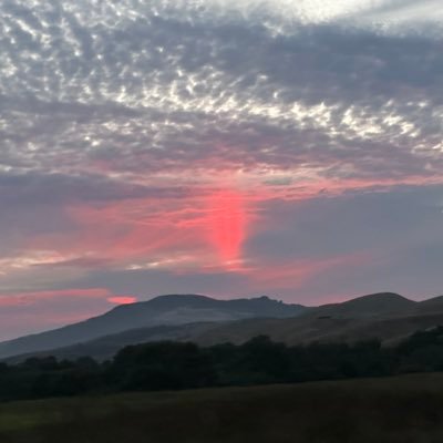 woojaekim47's profile picture. 