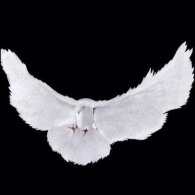 Joshua409792967's profile picture. This generation's closest thing to Tesla.