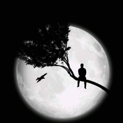 yousif_ali31162's profile picture. 