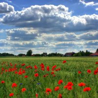 Beaudion Usha (@beaudionus52299) 's Twitter Profile