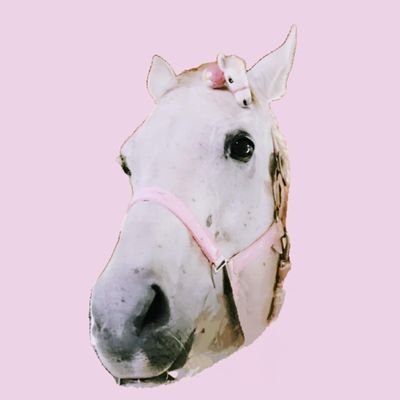 UmaUsaCafe's profile picture. お嬢に会いに行く馬旅🏇🍀愛馬会🦄Eclat de Neige🐴Curation🐴預託愛馬18歳🐴養老愛馬🐴Golden Mane25歳 天馬🦄Ash Upper繁殖引退後引取2016/11/4余生牧場へ繋ぎ支援2017/9/10急逝13歳🐴NAR馬主🐴引退馬協会🐴牝馬4頭の名付親🍛競馬カレー部