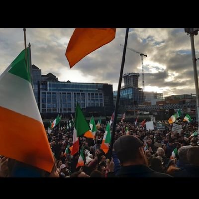 The only flags that should be waved in this country are Irish and European flags in the spirit of nationalism 🇮🇪 ☘️ 🏰