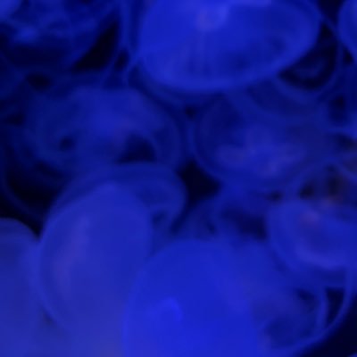 取引垢 / 義務教育終了済み未成年 / 郵送orメルカリ /買取paypay/月木はバイトのため返信遅/