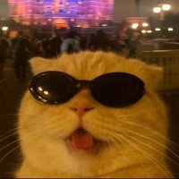 luuuu (@ledirexx) 's Twitter Profile