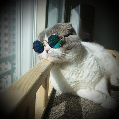 K02313327's profile picture. 