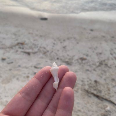 JotaClarck28's profile picture. Was von mir übrig ist