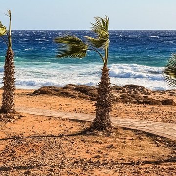 Emerson1971079's profile picture. 