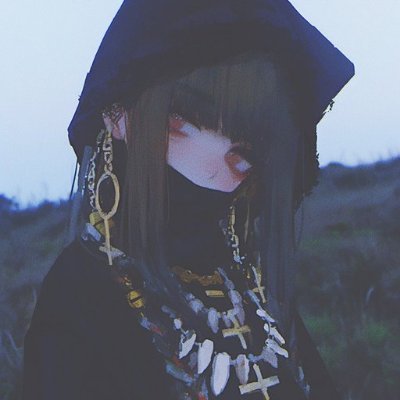 Toro Profile