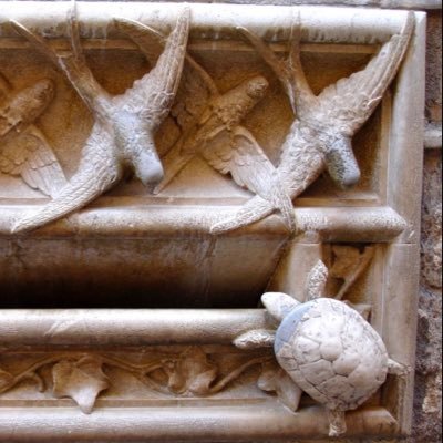 mamerms's profile picture. 