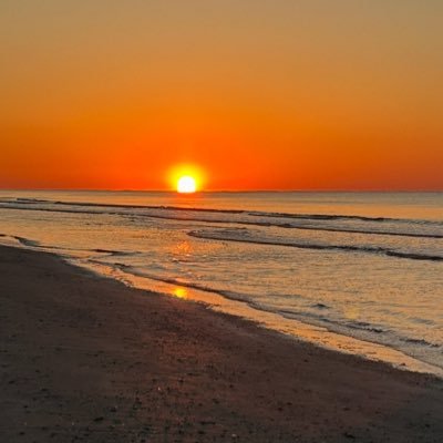 ladyfrancia's profile picture. 