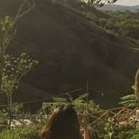 Awapex (@awapex8528718) 's Twitter Profile