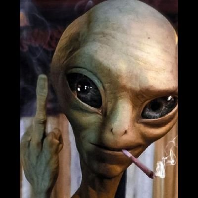 olatec29's profile picture. Web3 | Airdrop hunter | Biggest 🦅
@wallchain_xyz 🦆 @cookiedotfun